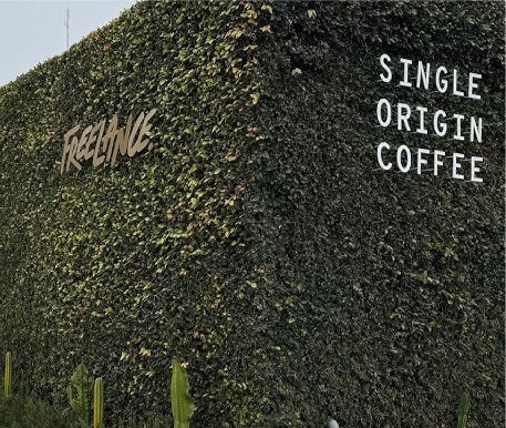 Freelance Coffee Project