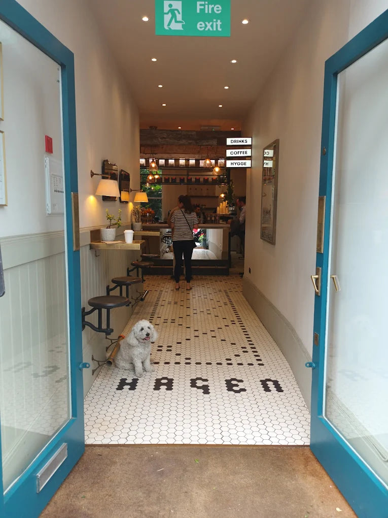 Hagen Espresso Bar | Chelsea