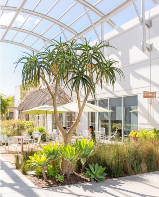 Portola Coffee Roasters