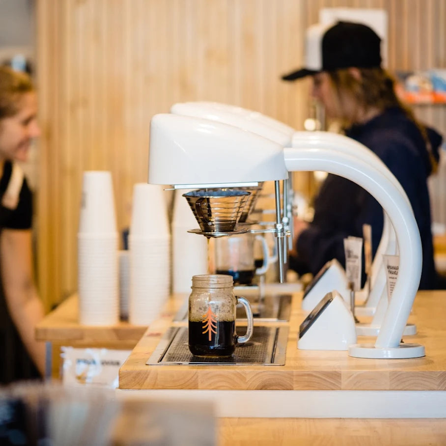 Wild Coffee