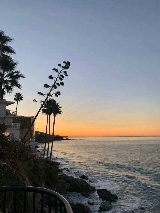 Bear Coast Coffee | Laguna Beach