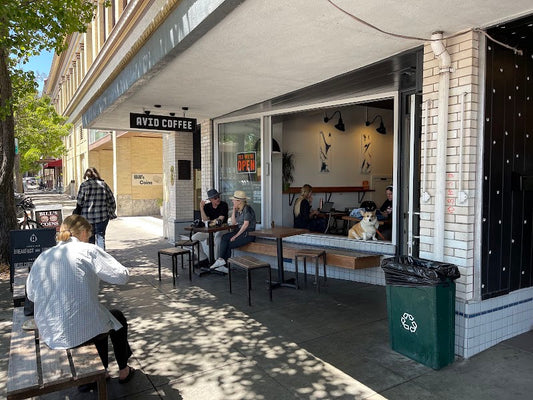 Avid Coffee | Petaluma