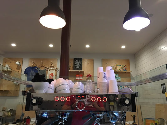 Bear Coast Coffee | San Clemente
