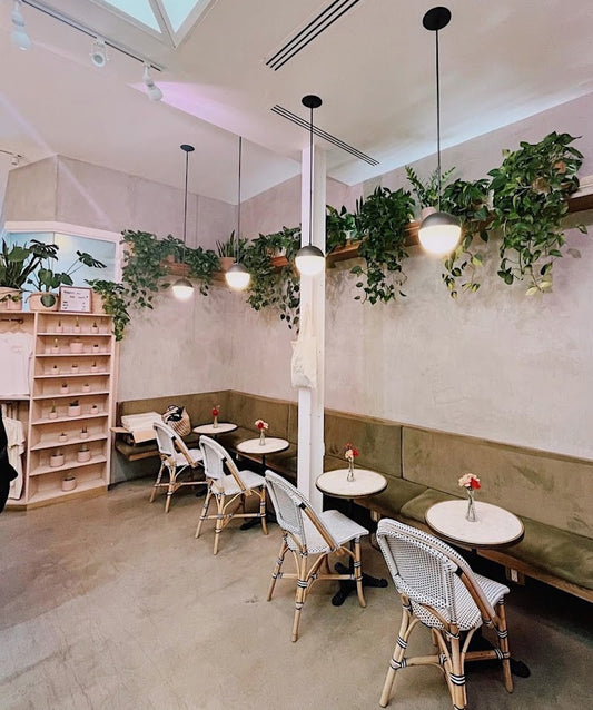 Coffee & Plants