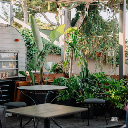 Alana’s Coffee Roasters