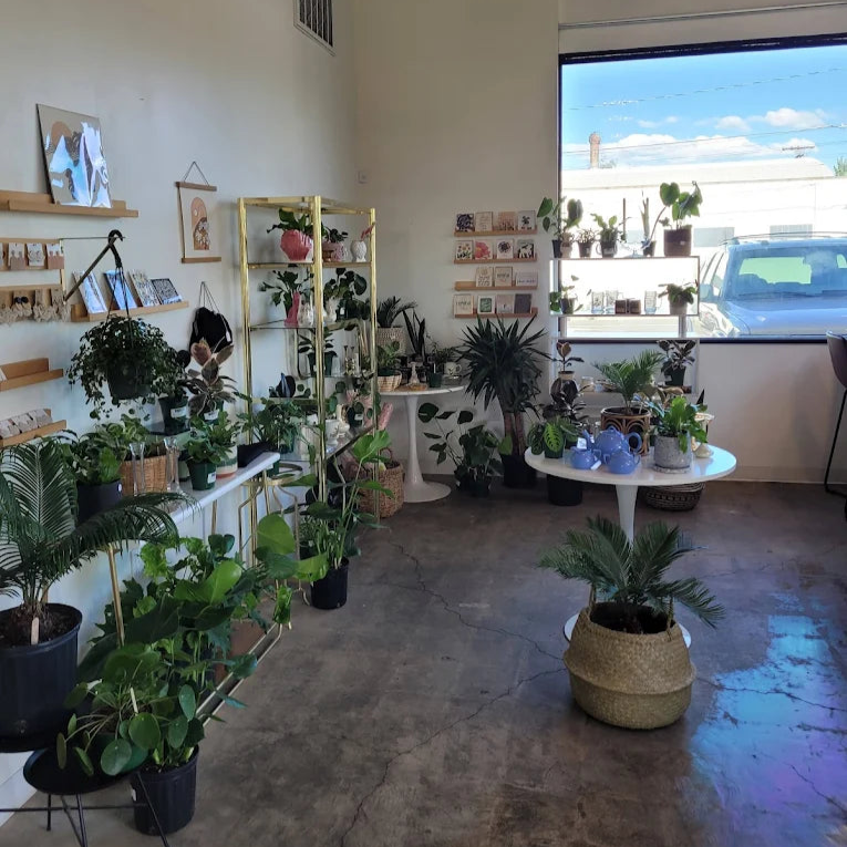 Forage Coffee Company