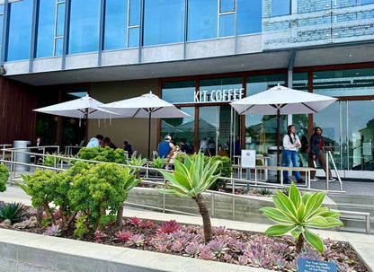 Kit Coffee