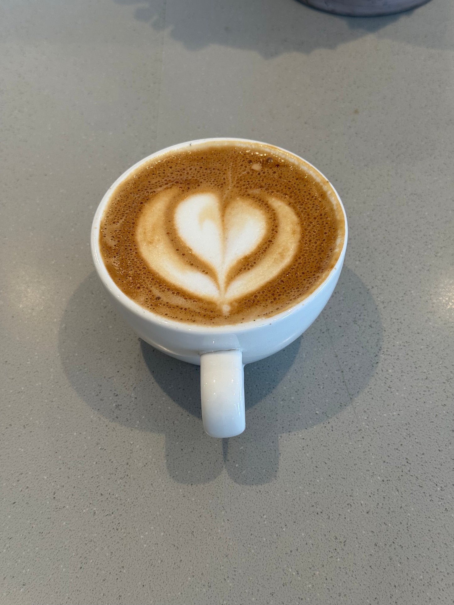 Succulent Coffee Roasters