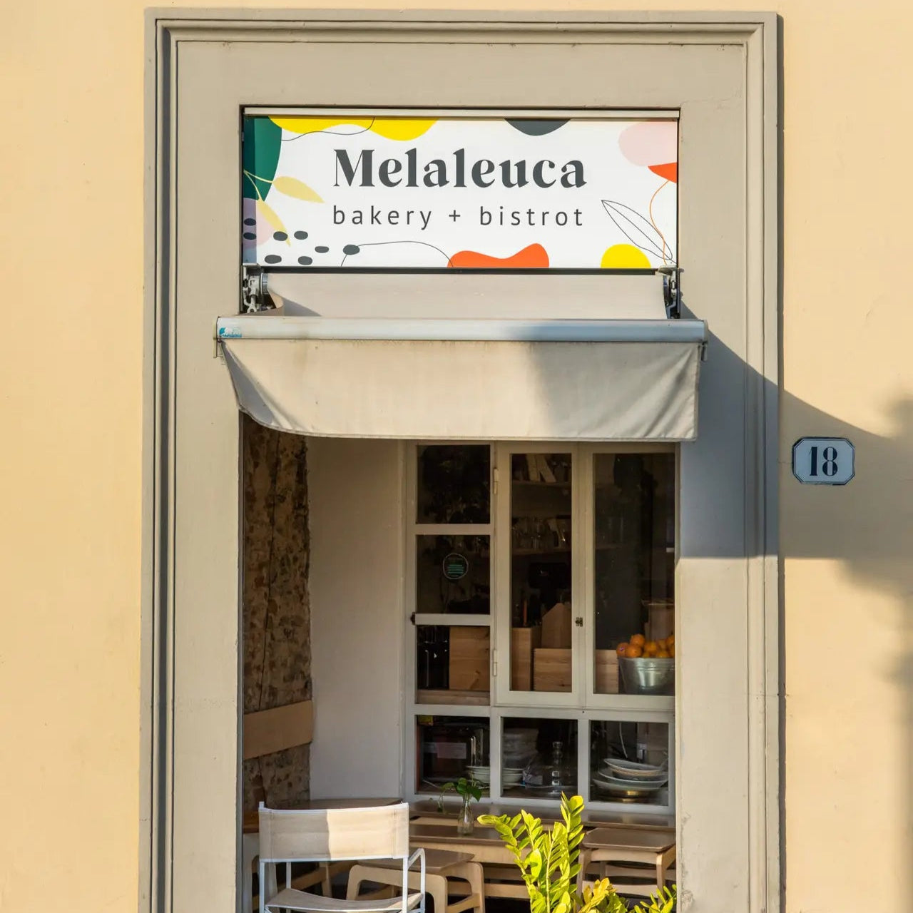 Melaleuca