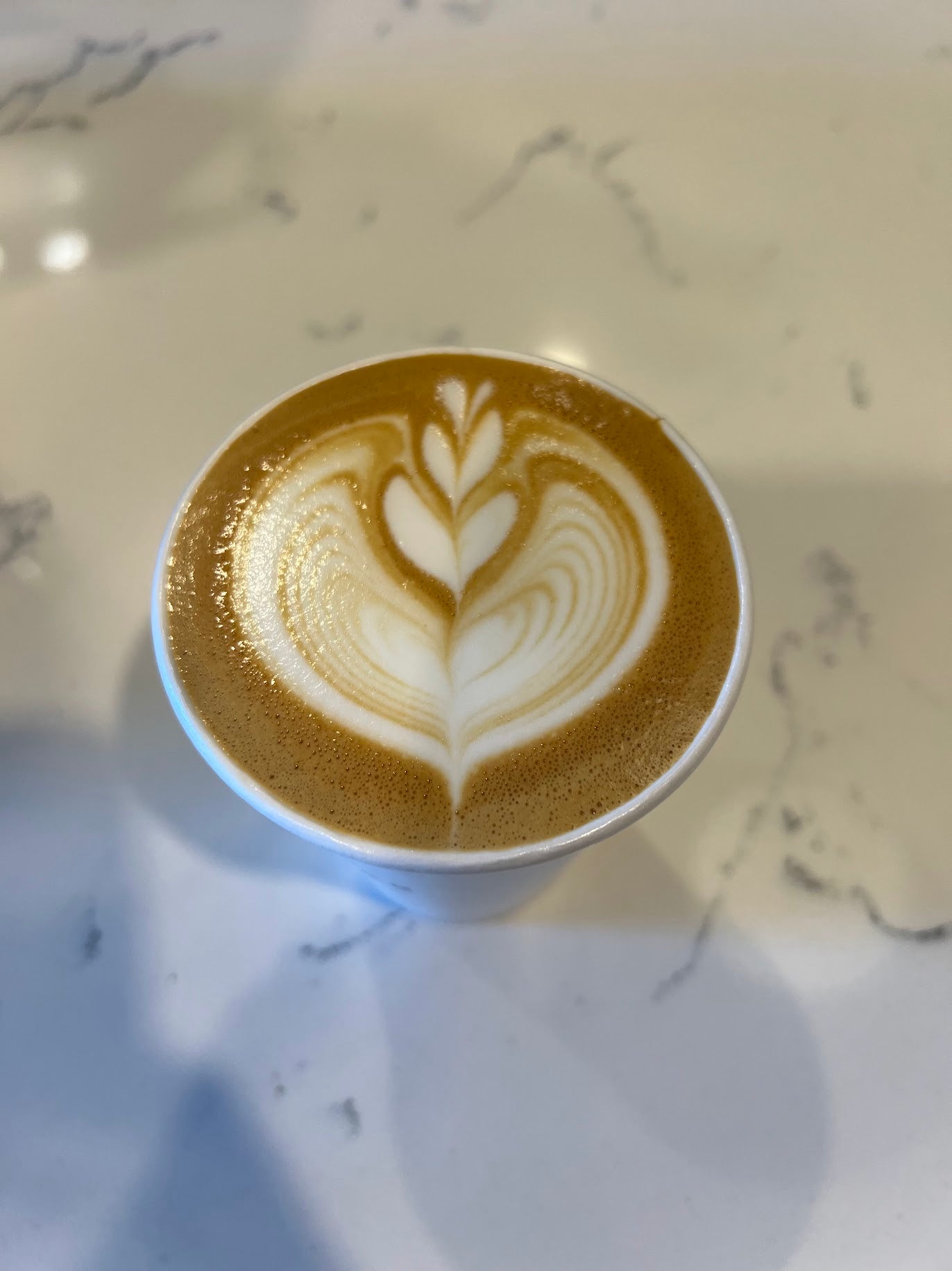 Neckar Coffee