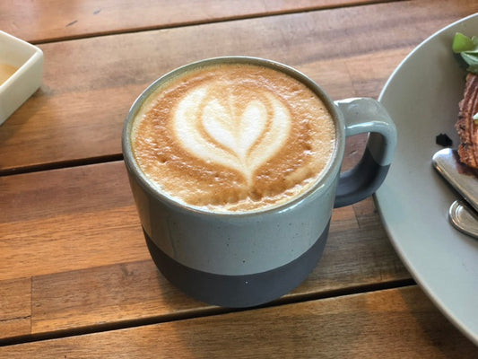 Treeline Coffee Roasters